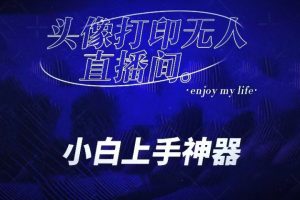 音浪收到手软的蓝海项目。抖音头像打印直播间无人直播，一分钟开播，小白上手神器，一个软件做到，多种直播变现
