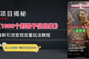 抖音最新一千个野路子玩法教程，变现+引流双重玩法，野路子信息差