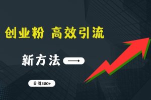 快速引流创业粉：抖音工具号日引300+实战技巧，创业粉引流全攻略，只做实战高手