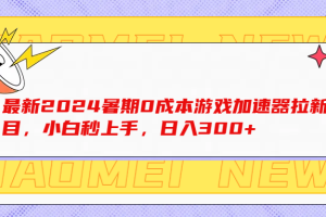 最新2024暑期0成本游戏加速器拉新项目，小白秒上手，日入300+
