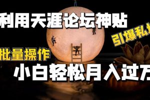 利用天涯论坛神贴，引爆私域，批量操作、小白轻松月入过万