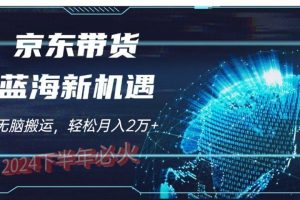2024下半年最新蓝海项目，无脑搬运，不用剪辑，有手就会，京东图文视频，每月亲测2oooo+