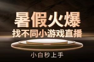 暑假火爆找不同小游戏直播间，小白秒上手