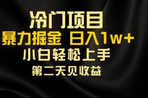 冷门项目，靠一款软件日入10000+暴力掘金小白轻松上手，第二天见收益