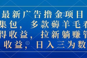 最新广告撸金项目合集包，多款薅羊毛看广告得收益，拉新躺赚管道收益，日入三位数