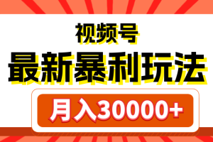 视频号最新暴利玩法，轻松月入30000+