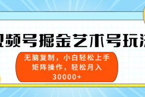 视频号掘金艺术号玩法，小白易上手，无脑复制。轻松月入3w+
