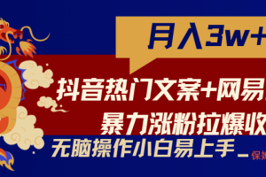 轻松月入3w+，抖音热门文案+网易云截图暴力涨粉拉爆收益玩法，小白无脑操作，简单易上手