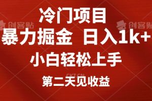 冷门项目，靠一款软件日入1000+暴力掘金小白轻松上手，第二天见收益