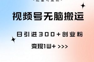 全网首发，2024新平台淘宝逛逛无脑搬运日入500+