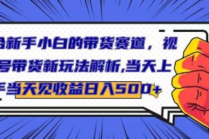 适合新手小白的带货赛道，视频号带货新玩法解析,当天上手当天见收益，日入500+