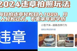 最新违章拍照+推广躺赚双模式玩法日入1000+