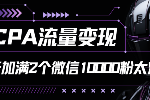 CPA流量变现，7天加满两个微信10000粉，轻轻松松加爆微信