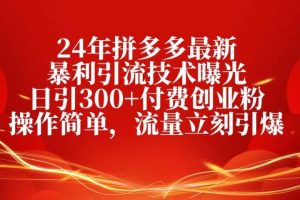 24年拼多多最新暴利引流技术曝光，日引300+付费创业粉，操作简单