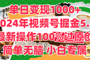 单日变现1000+，2024年视频号掘金5.0，最新骚操作100%过原创玩法，简单无脑，小白专属
