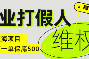 职业 打假人 电 商 维权 揭秘一 单 保底 500 全新冷 门 暴利 项 目