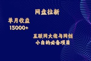 网盘拉新项目，单月收入10000+，互联网大佬与副业小白的必备项目