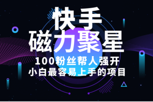 小白最容易上手的项目！售卖磁力聚星开通码，一单20，一天十几单，轻松月入五六千