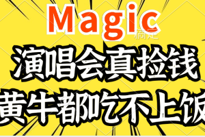 2024年最火爆的演唱会项目，最轻松的销售，让你躺着赚钱，日入1000