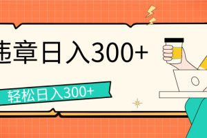 拍违章等一些不文明行为，获取收益，一天收益可达300+