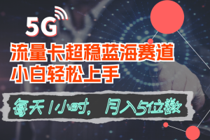 流量卡超稳蓝海赛道，小白轻松上手，每天1小时，月入5位数