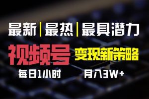 视频号变现新策略，每日一小时月入30000+