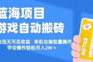 【蓝海项目】游戏自动挂机搬砖 小白当天可见收益 单号也能批量操作 批量操作日入1000＋