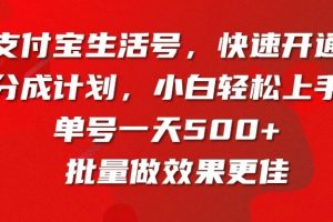 支付宝生活号，快速开通分成计划，超详细教程，一条视频400+