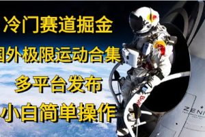 冷门赛道掘金，极限运动合集，多平台发布，小白简单操作