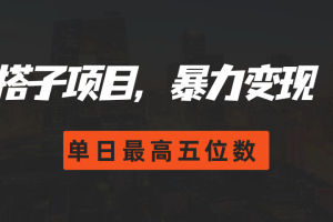 搭子项目，暴力变现，单日最高破五位数