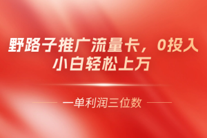 野路子推广流量卡，一单利润上百，0投入，小白月利润上万