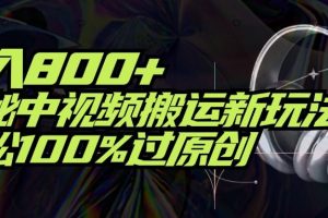 项目标题：日入800+！揭秘中视频搬运新玩法，轻松100%过原创