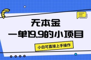 无本金一单19.9的小项目，小白可直接上手操作
