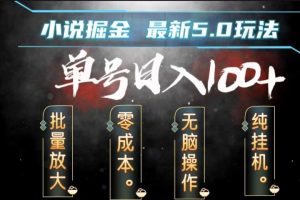 全自动小说撸金，无脑操作，单号日入100+小白轻松上手