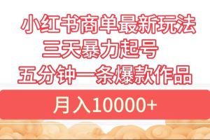 小红书商单最新玩法 3天暴力起号 5分钟一条爆款作品 月入10000+