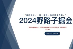 2024野路子掘金，最新玩 法， 一对一指导，操作简单无脑。