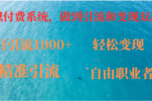 如何搭建自己的知识付费系统，做到引流跟变现双赢