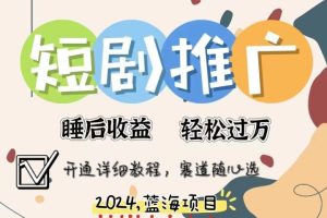 拥有睡眠收益的短剧推广大风口项目，十分钟学会，多赛道选择，月入五位数