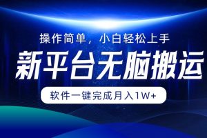 新平台无脑搬运月入1W+软件一键完成，简单无脑小白也能轻松上手