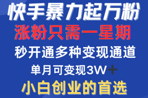 快手暴力起万粉，涨粉只需一星期！多种变现模式