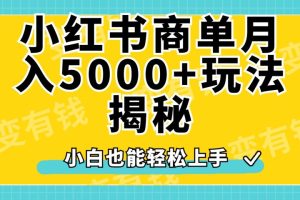 小红书商单原创起号玩法揭秘，小白月入5000+