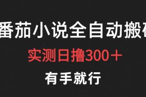 最新番茄小说挂机搬砖，日撸300＋！有手就行，可矩阵放大