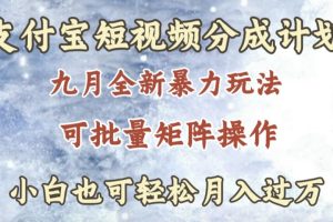 九月最新暴力玩法，支付宝短视频分成计划，轻松月入过万