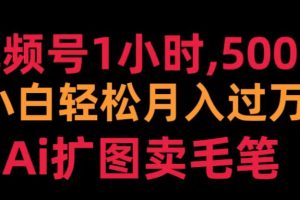 视频号1小时，500＋ 小白轻松月入过万 Ai扩图卖毛笔