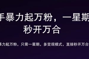 7 天万粉，吸金变现，日入斗金