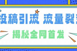 所有导师都在和你说的独家裂变引流到底是什么首次揭秘全网首发，24年最强引流，什么是投稿引流裂变流量，保姆及揭秘