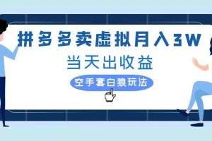 拼多多虚拟项目，单人月入3W+，实操落地项目