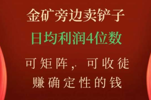 金矿旁边卖铲子，赚确定性的钱，可矩阵，可收徒，日均利润4位数不是梦