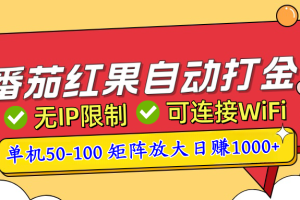 番茄红果广告自动打金暴力玩法，单机50-100，可矩阵放大操作日赚1000+，小白轻松上手！
