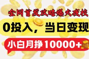 全网首发！爆火夜校，0投入，当日变现，小白轻松月入1w+